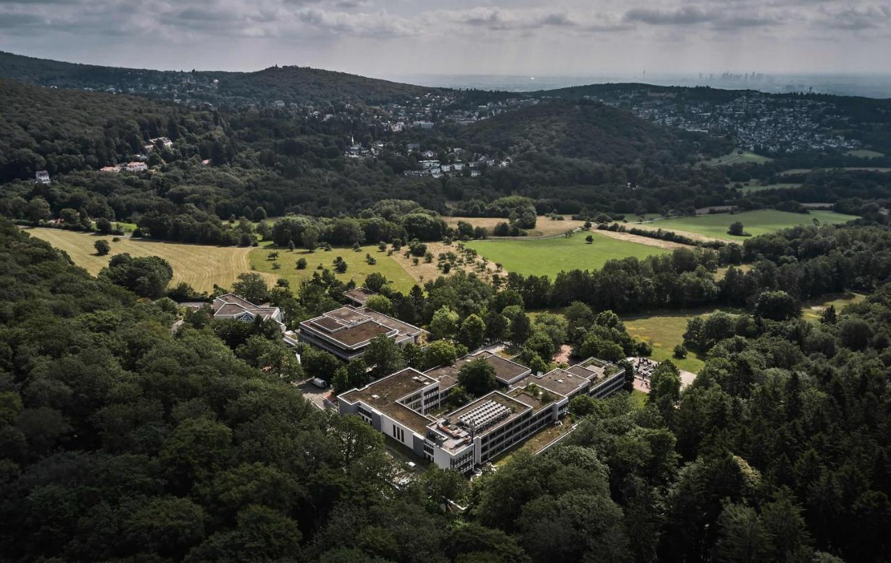 ホテル Bold Campus ケーニッヒスシュタイン・イム・タウヌス エクステリア 写真